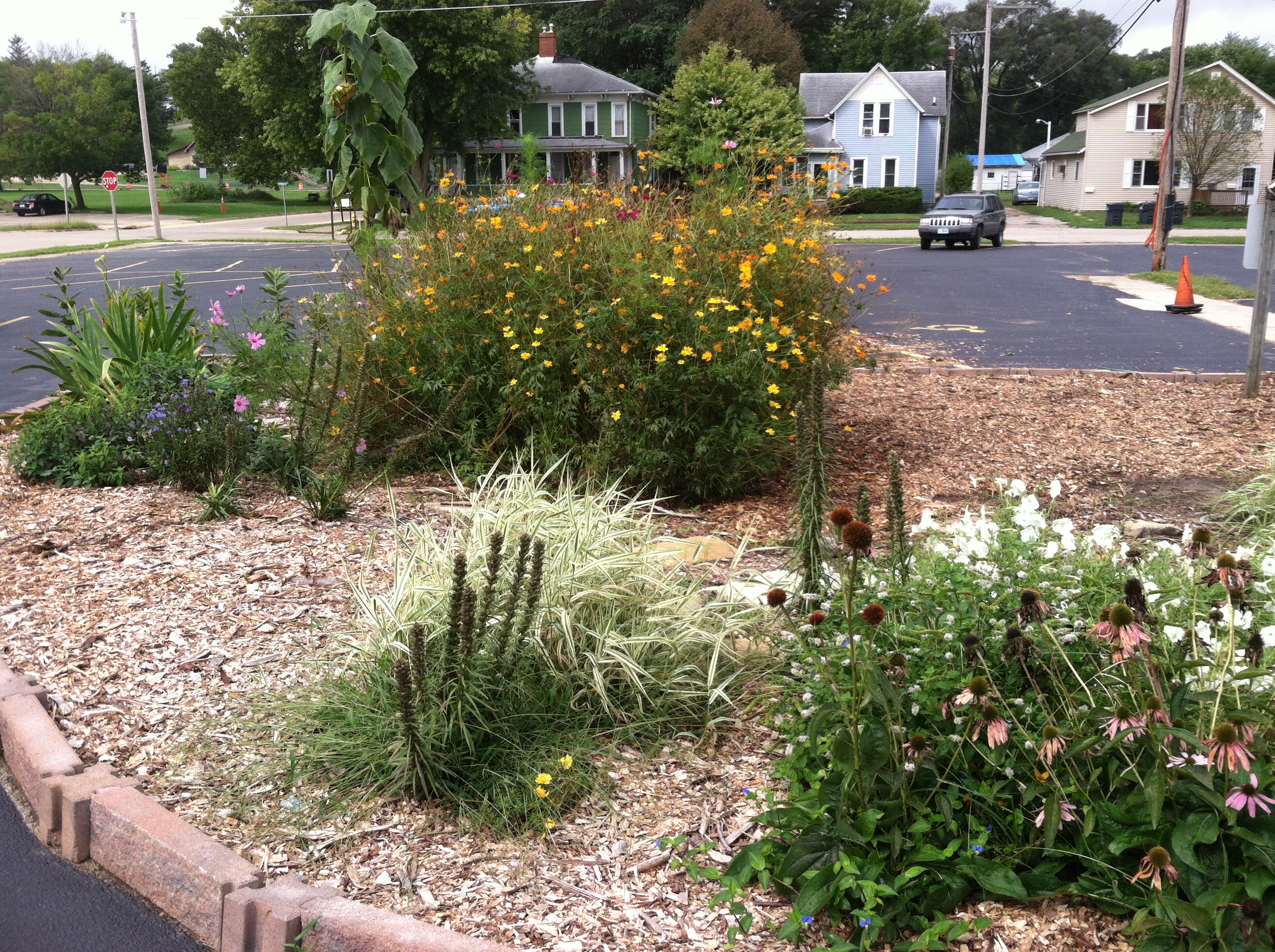 garden parking lot.JPG